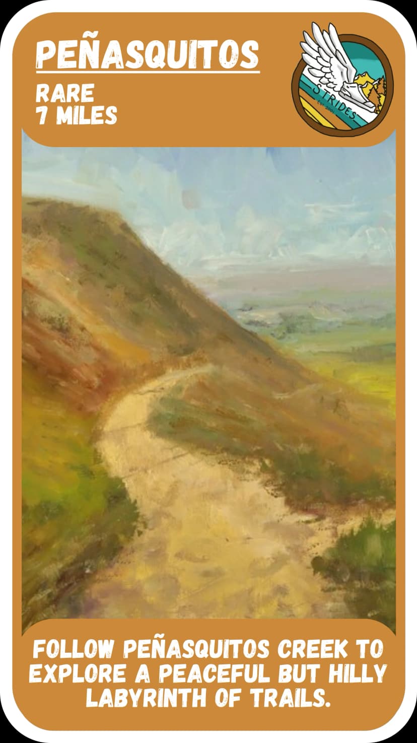 rare route card