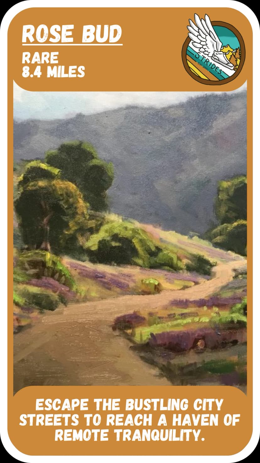 rare route card